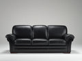 Sofá 3 plazas tapizado en cuero 220 x 95 x 90 cm - negro - asiento acolchado con brazos curvos de estilo clásico